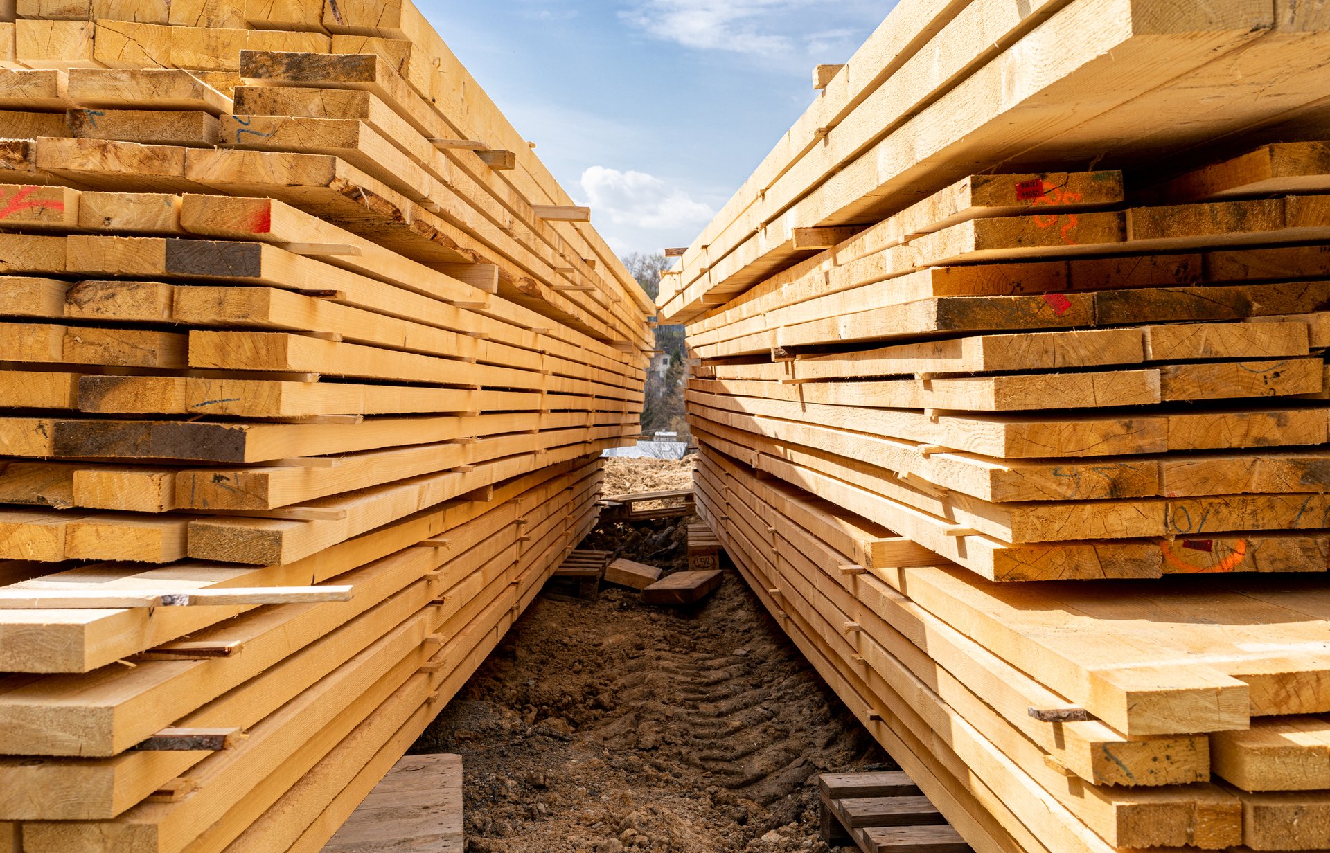 Warm-toned lumber stacked neatly in an outdoor yard
