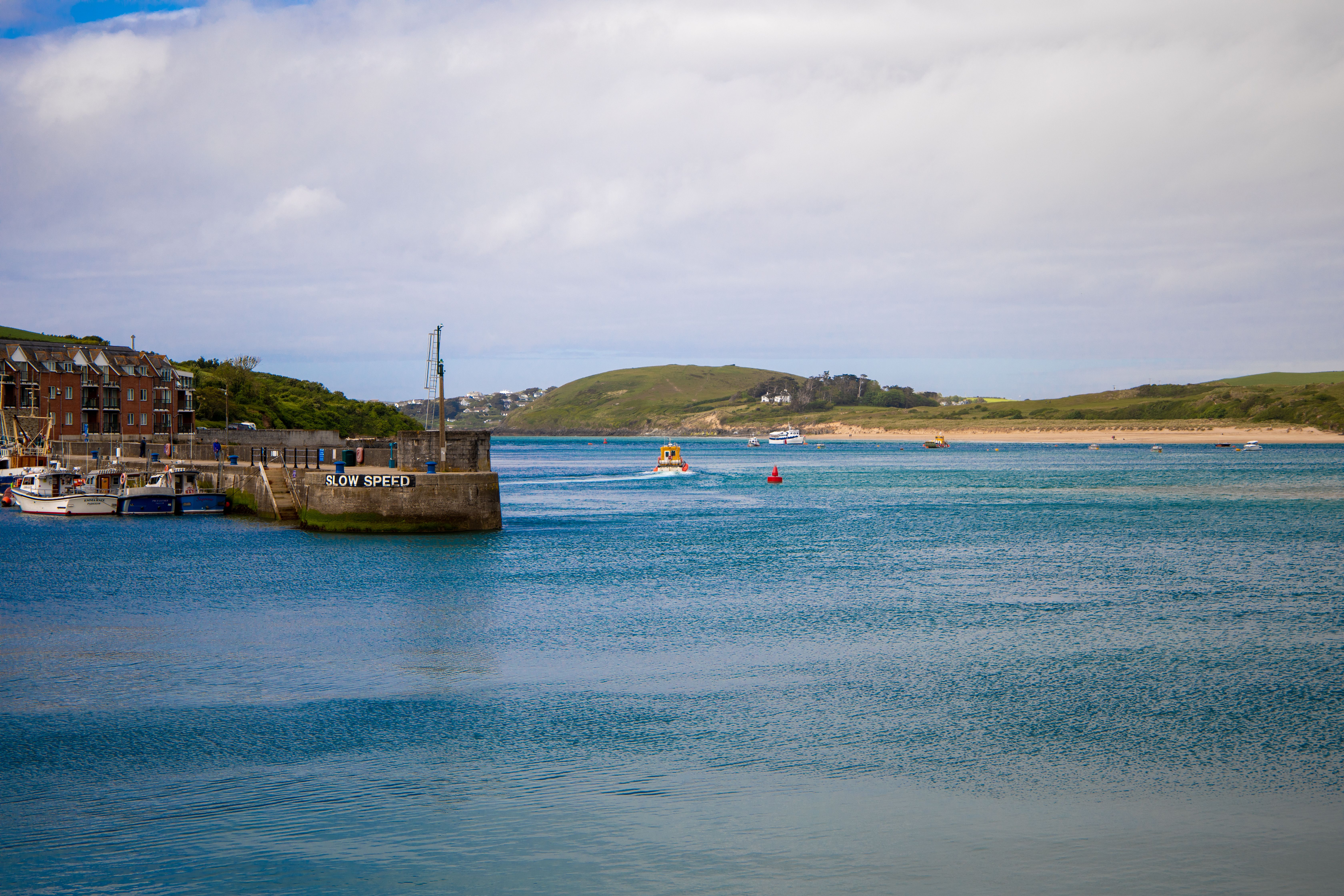 Dog-friendly Padstow: beaches, walks and what to look for in a stay