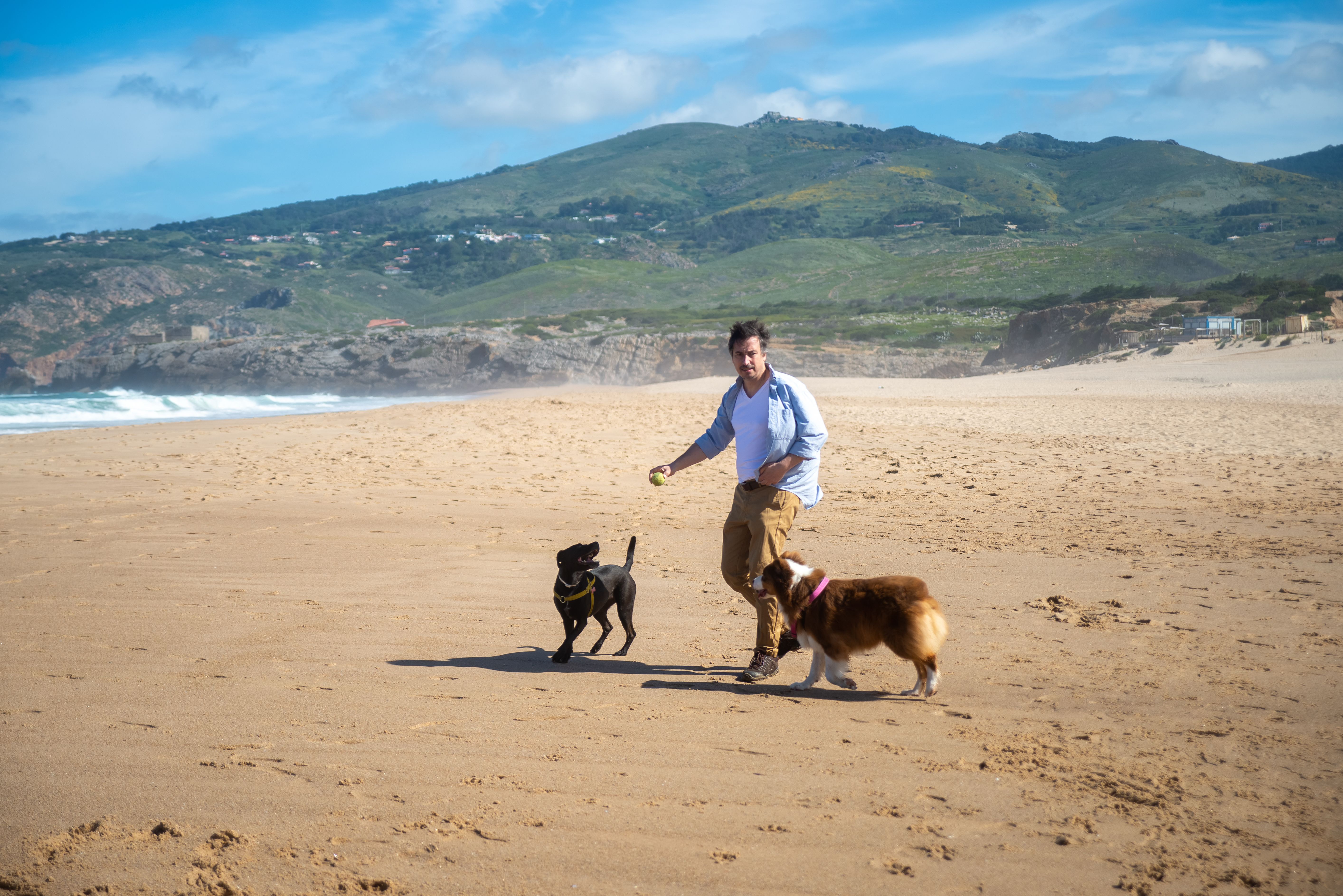 Dog-friendly beaches in Cornwall: current rules and seasonal restrictions