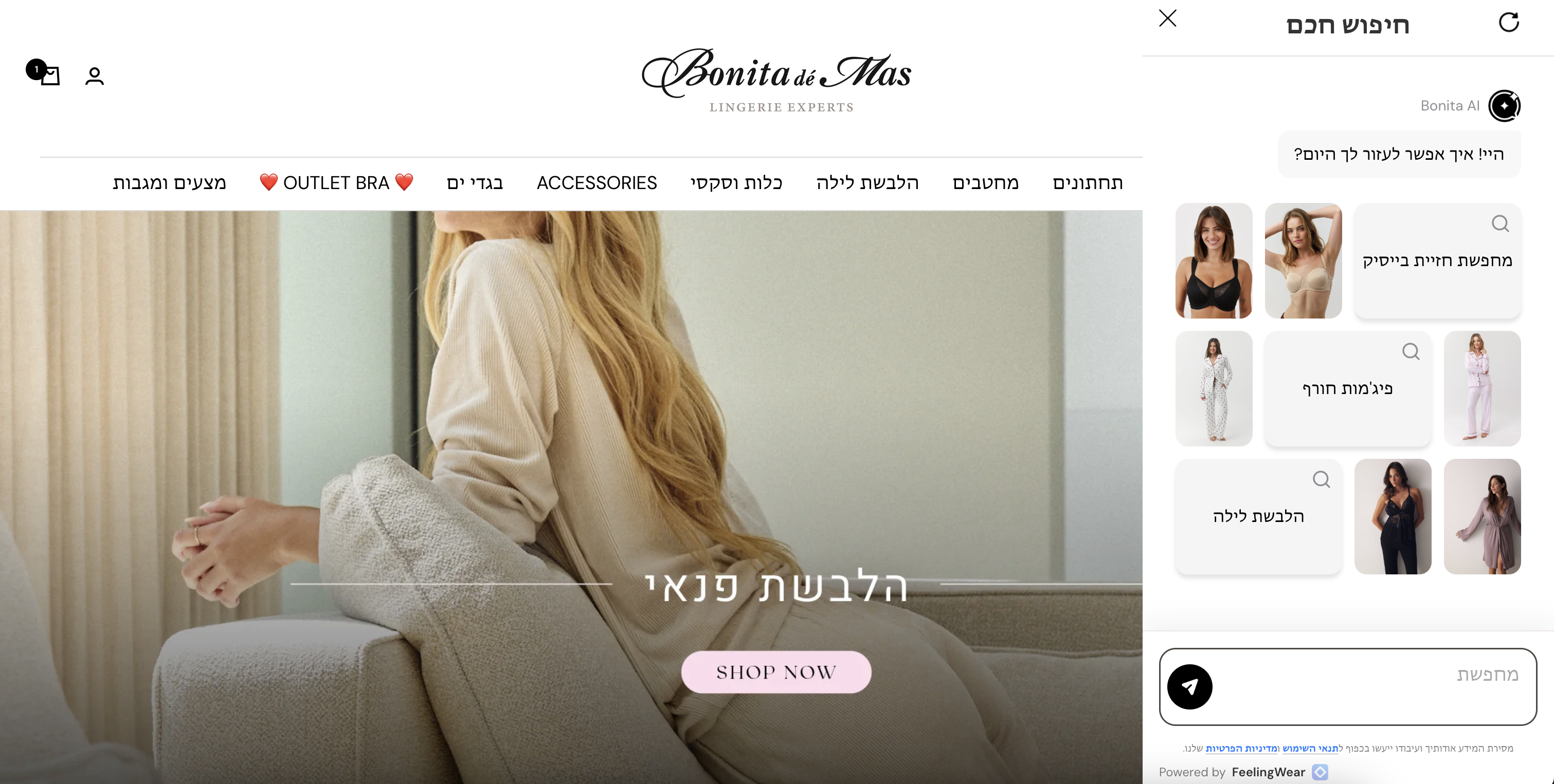 Adaptive Shopping Agent