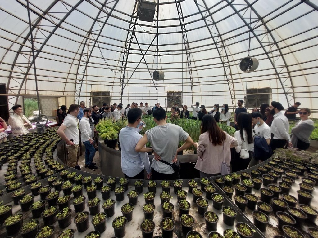 Sustainability & Climate Innovation