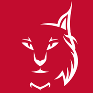 Idiomas Lynx: Find Your English Voice. logo