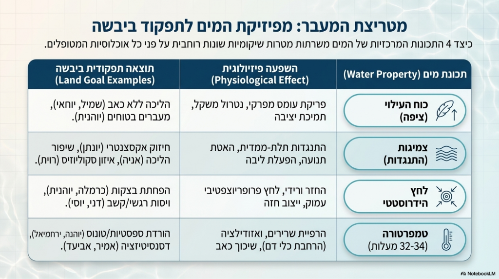 תנועה בטוחה: שיקום גריאטרי, לב-ריאה ומניעת נפילות