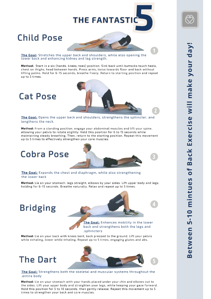 Fantastic 5 PDF exercises preview