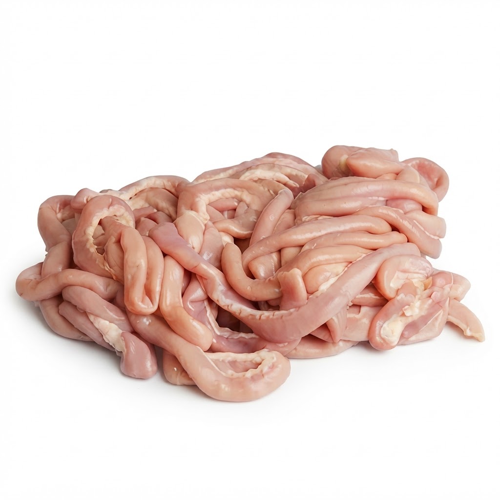 BEEF INTESTINE