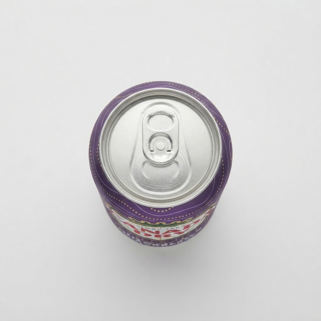CANADA DRY GINGER ALE BLACK BERRY 12OZ - Thumbnail 2