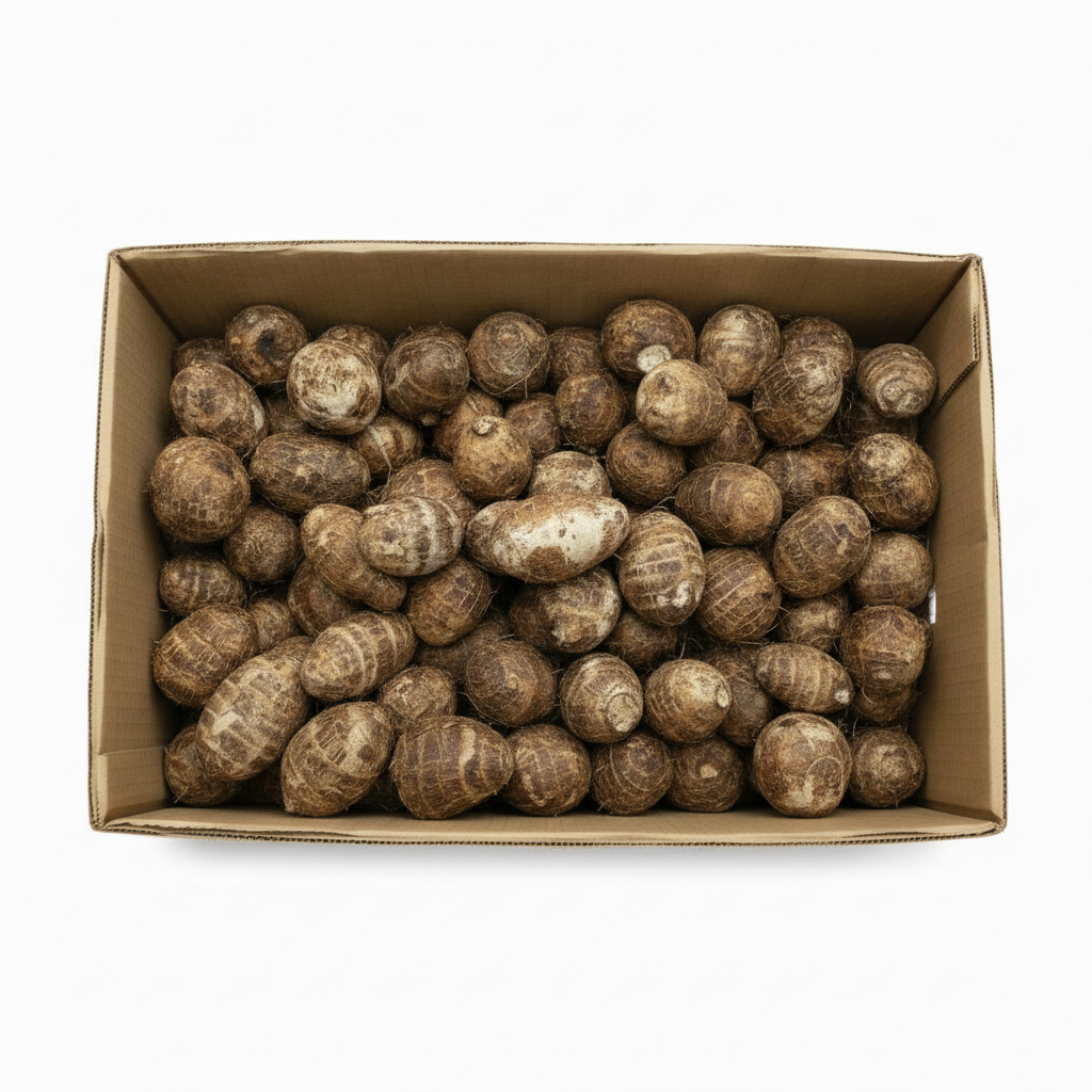 FRESH COCOYAM BOX 30LB - Thumbnail 3