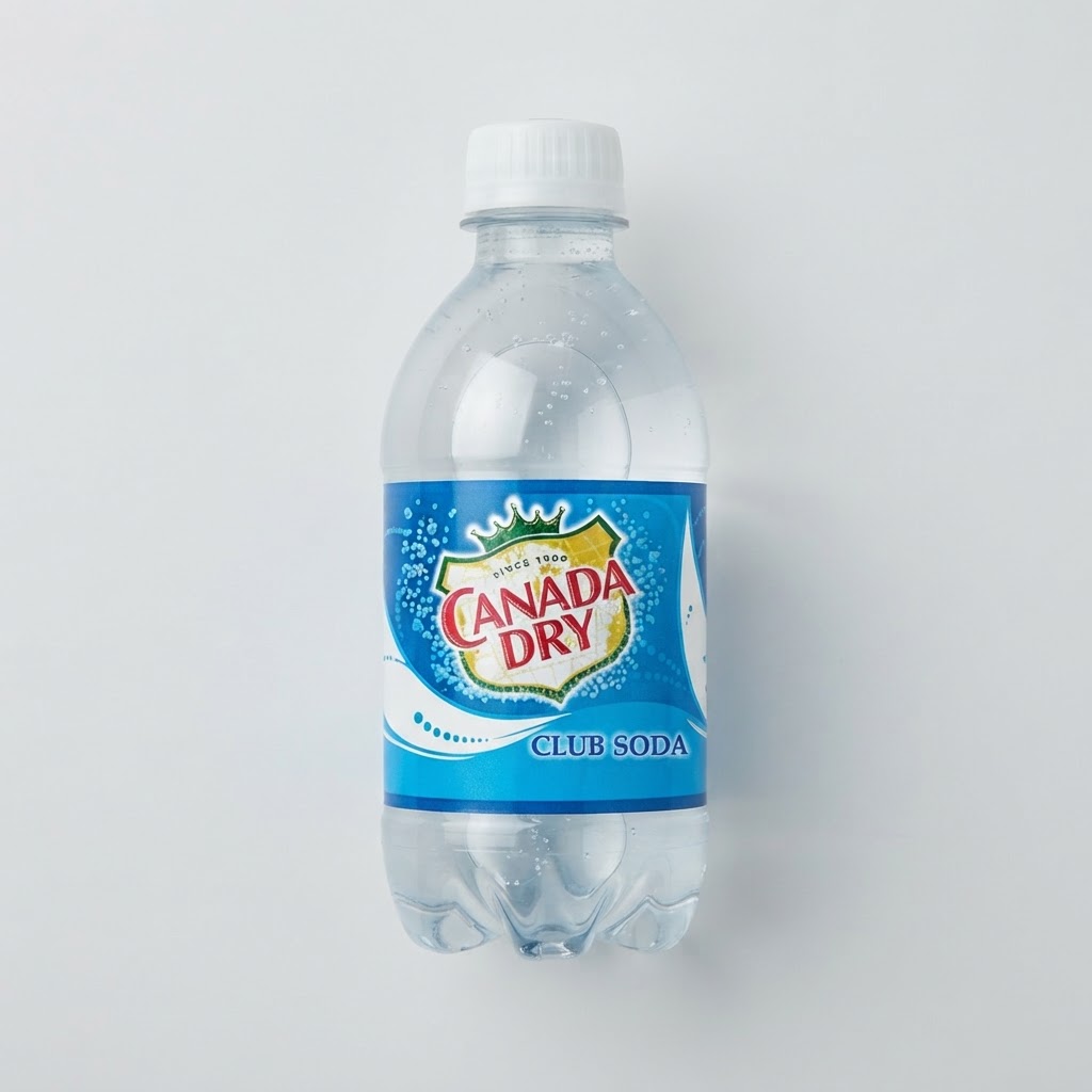 CANADA DRY CLUB SODA 10OZ - Thumbnail 2