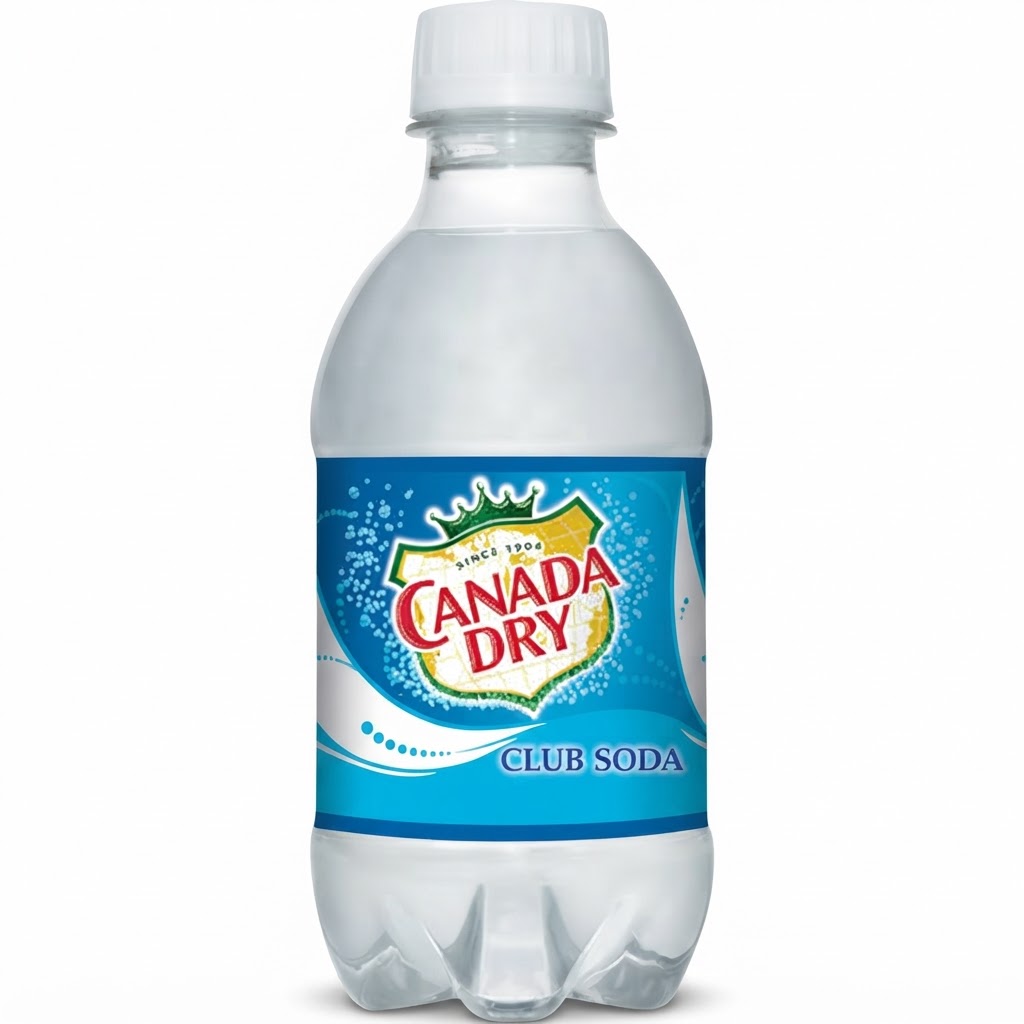 CANADA DRY CLUB SODA 10OZ