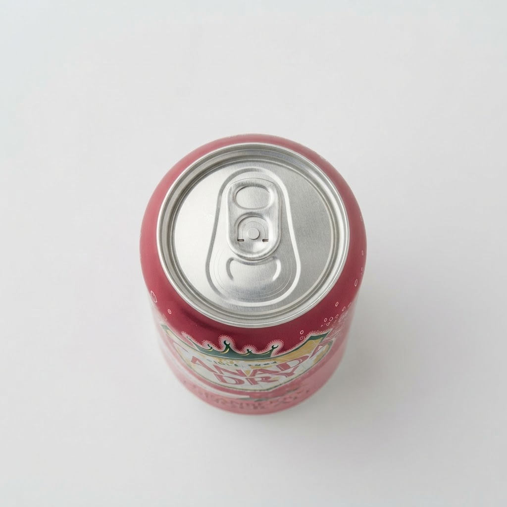 CANADA DRY CRANBERRY 12OZ - Thumbnail 2