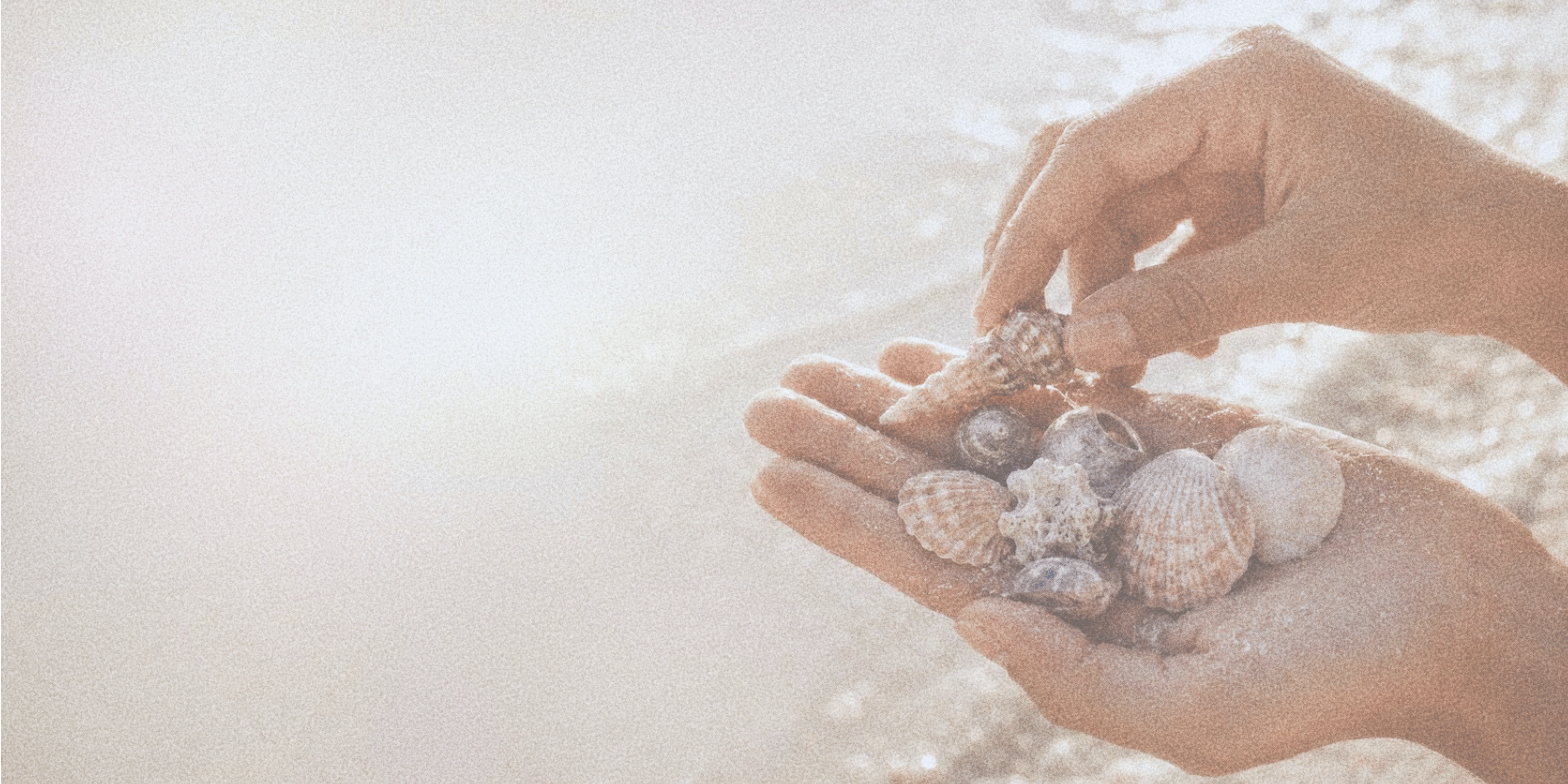 Hands holding and arranging shells and found objects on a sunlit beach