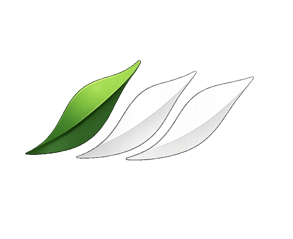 StreamBean
