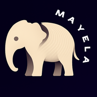 Mayela : Excellence, nothing less logo
