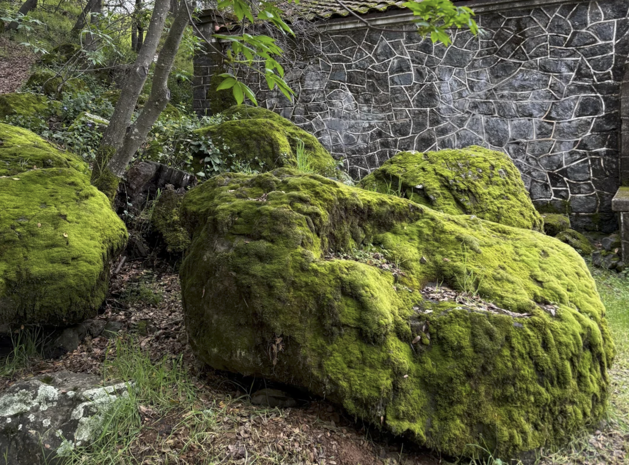 Large Landscaping Boulders