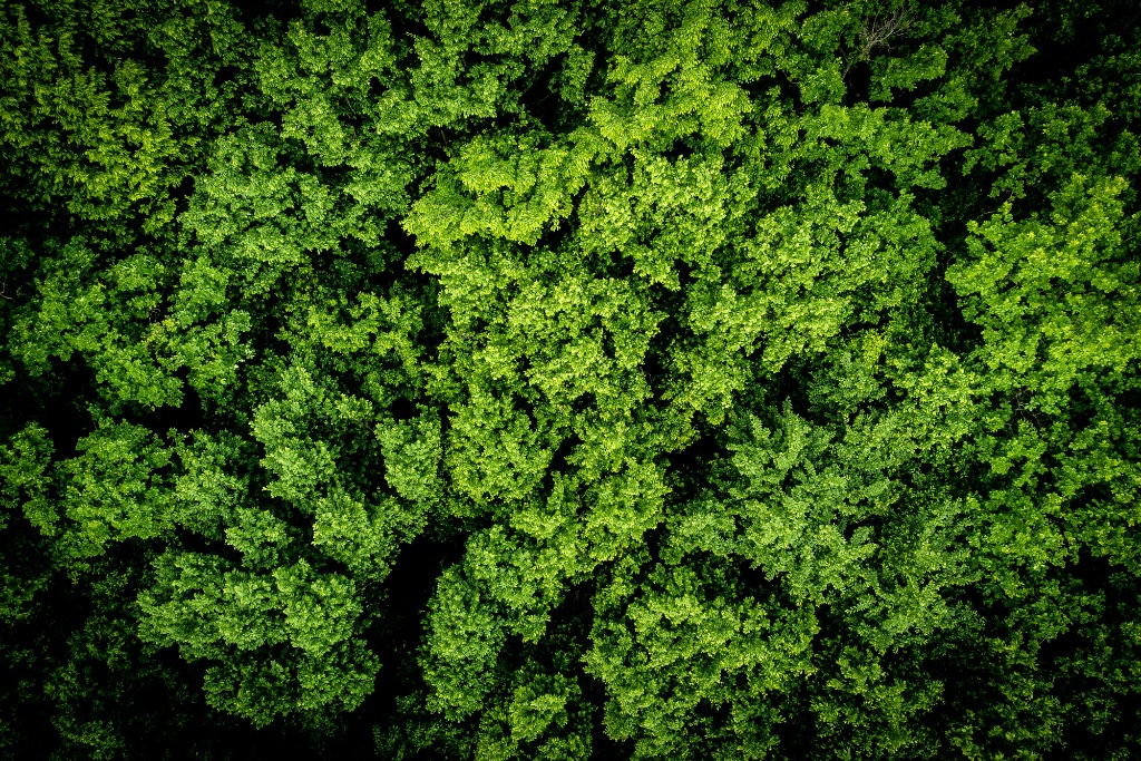 Planet