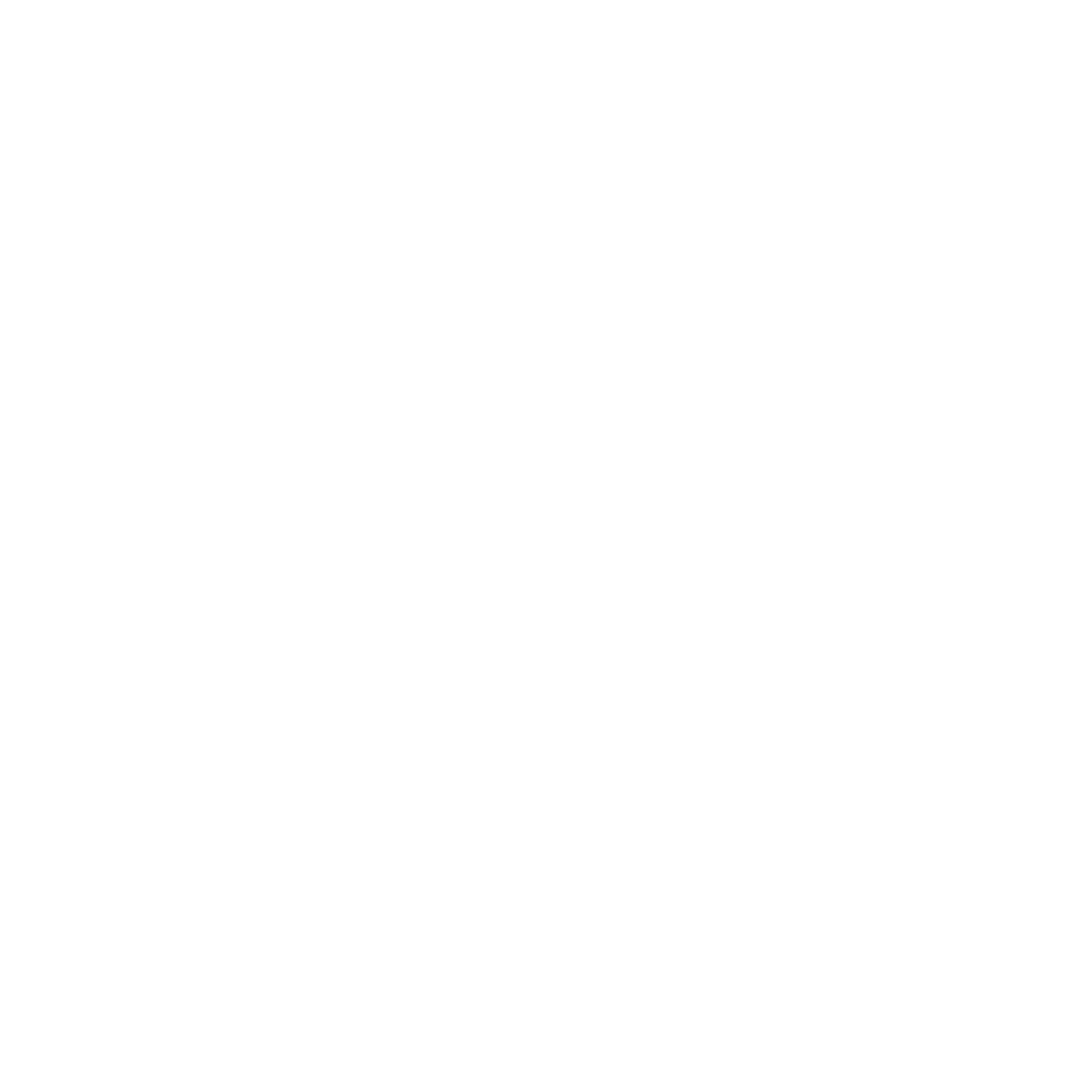 SpeedSF