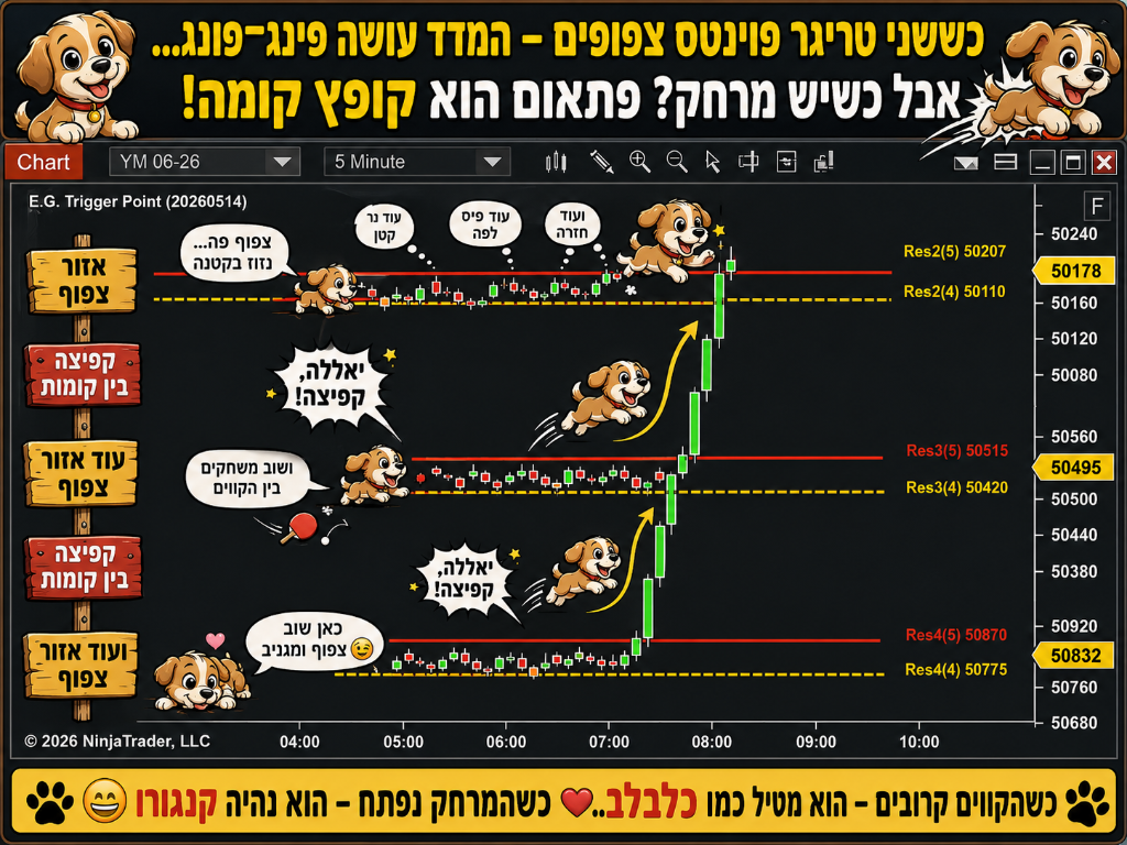 פאנל 23