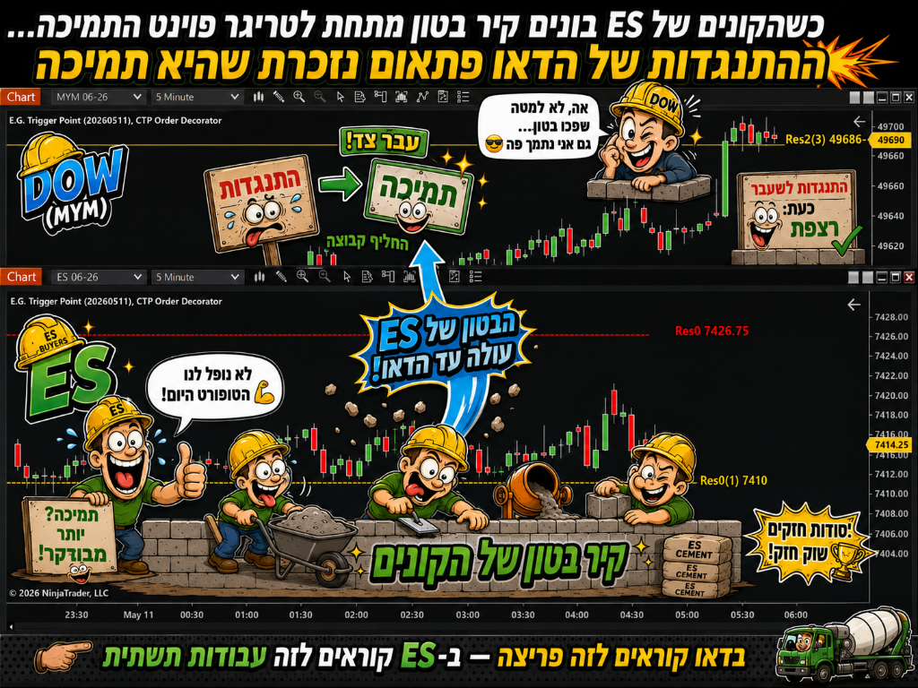 פאנל 24