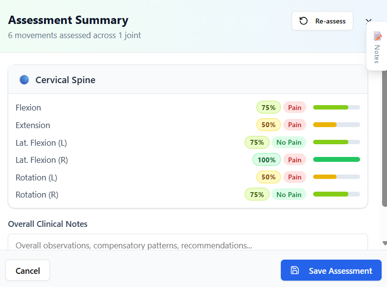 Assessment summary with ROM results
