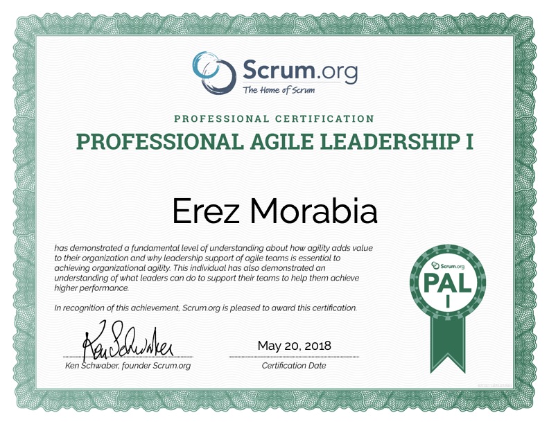 Professional Agile Leadership I (PAL I)