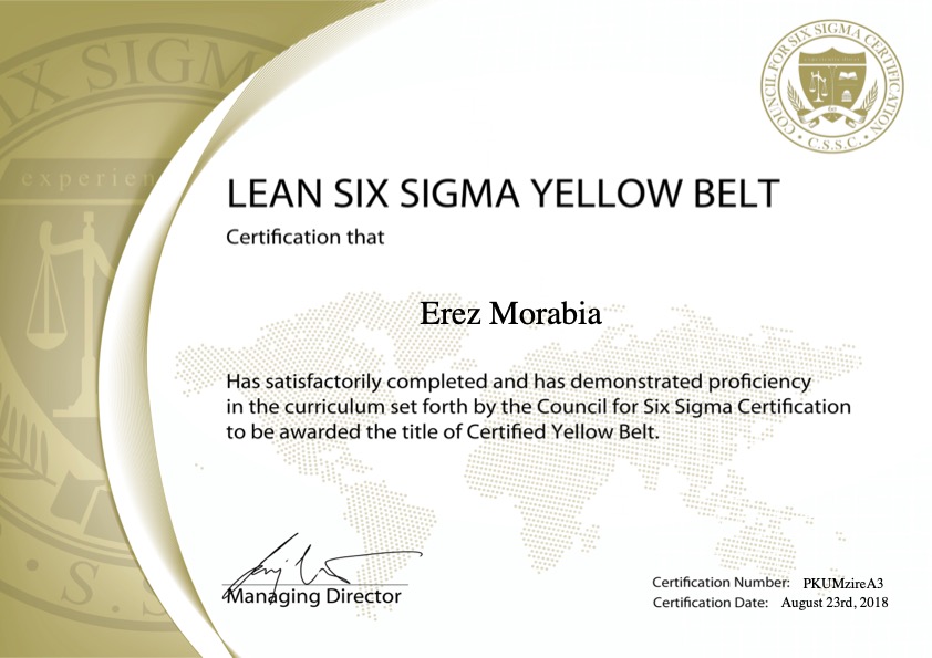 Lean Six Sigma Yellow Belt (CSSC)