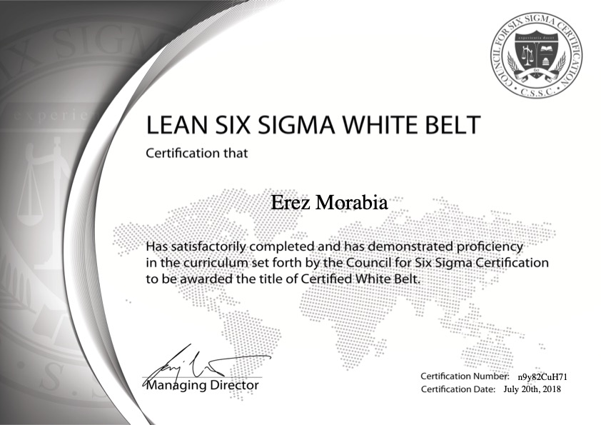 Lean Six Sigma White Belt (Council)