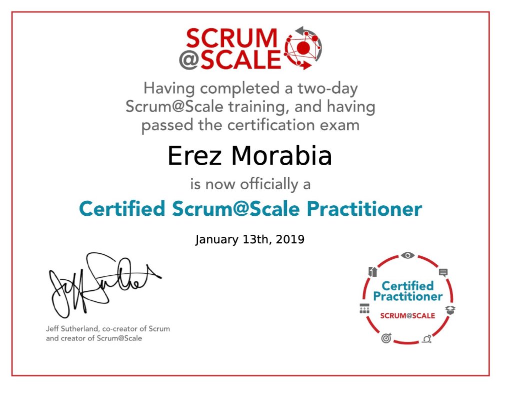 Scrum@Scale Practitioner