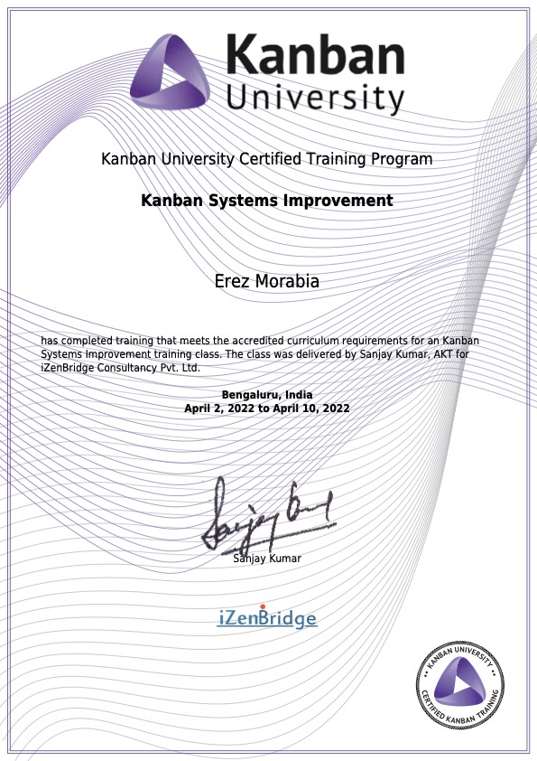Kanban Systems Improvement (KMP II)