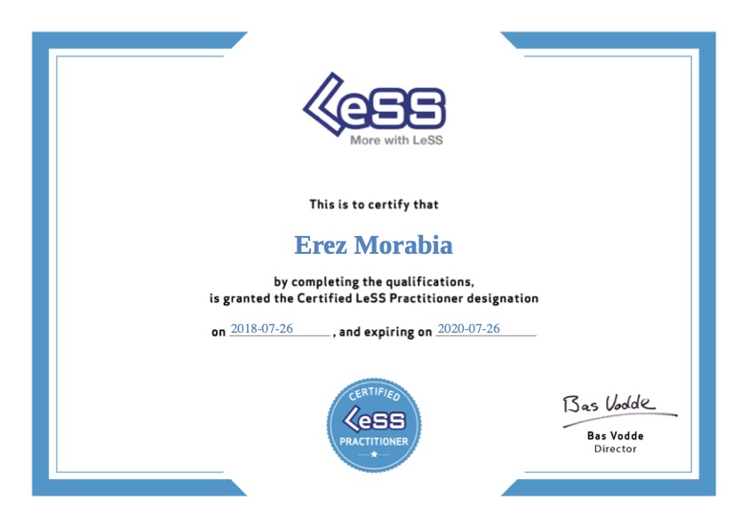 Certified LeSS Practitioner
