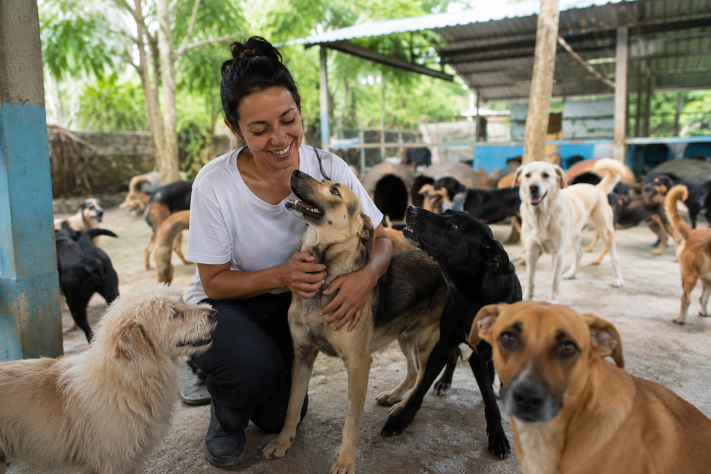 Rescatista rodeada de perros en un refugio