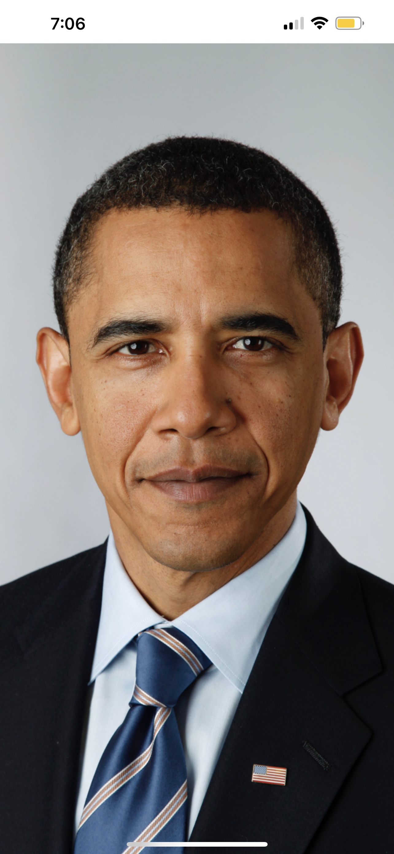 President Barack Obama portrait