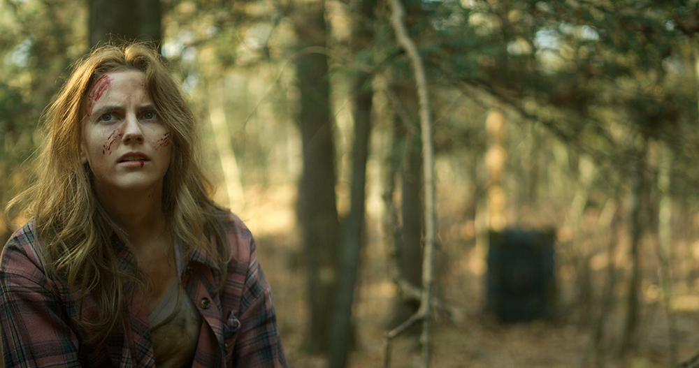 Anna's in the Woods