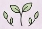 Growth