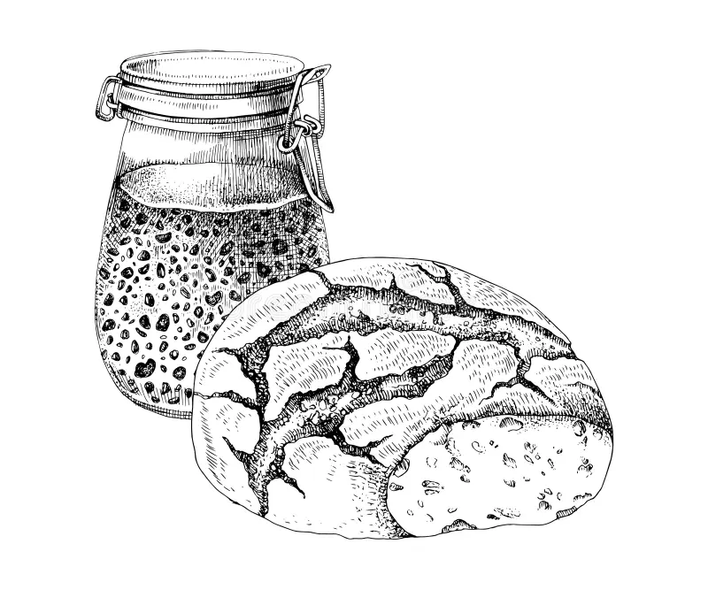 Sourdough starter