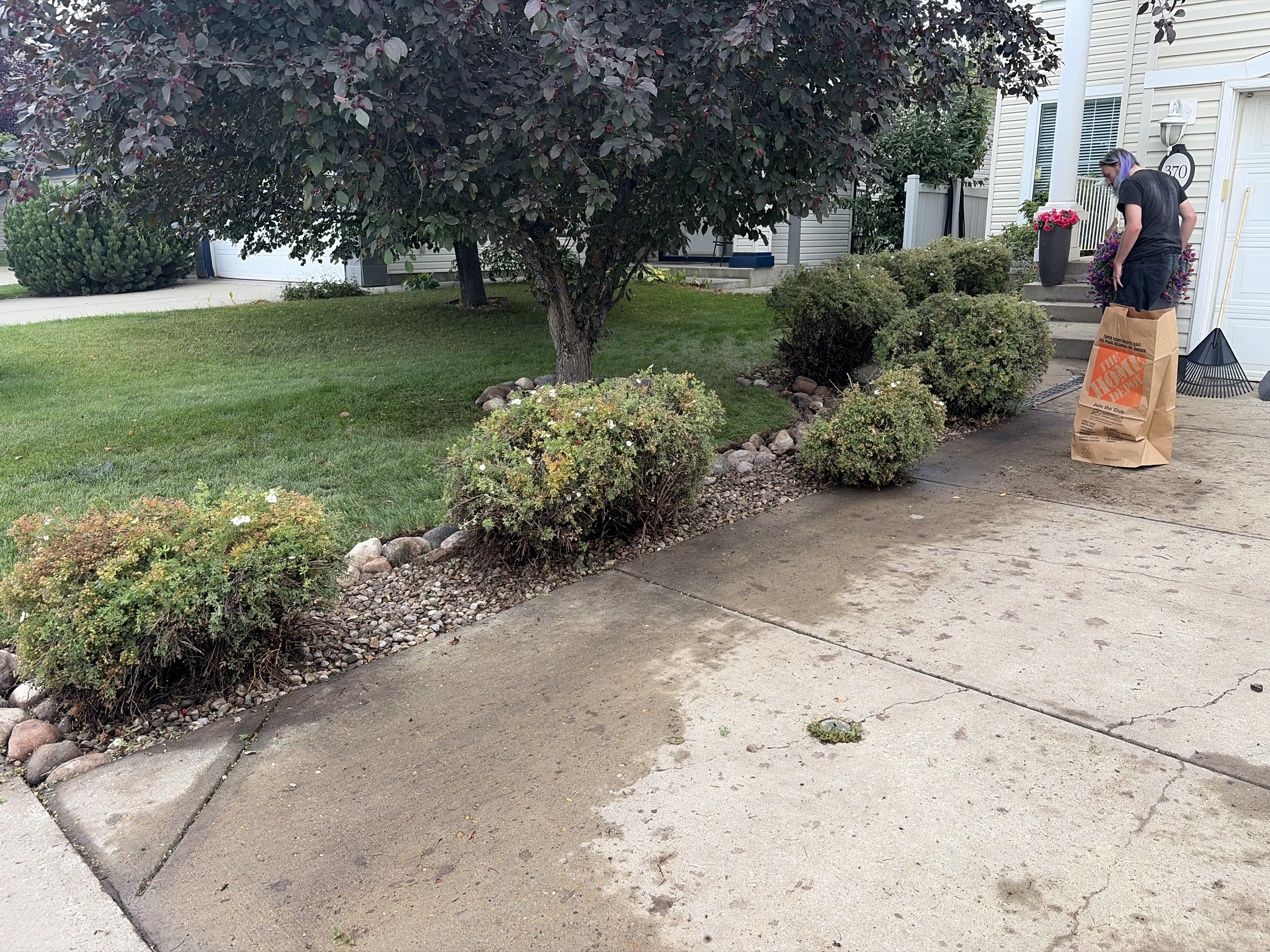 After landscaping project photo 3