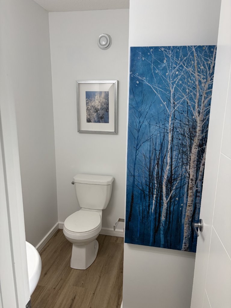 Bathroom Paint and Refresh — MW Construction and Landscaping project 8 in Edmonton & Beaumont, Alberta