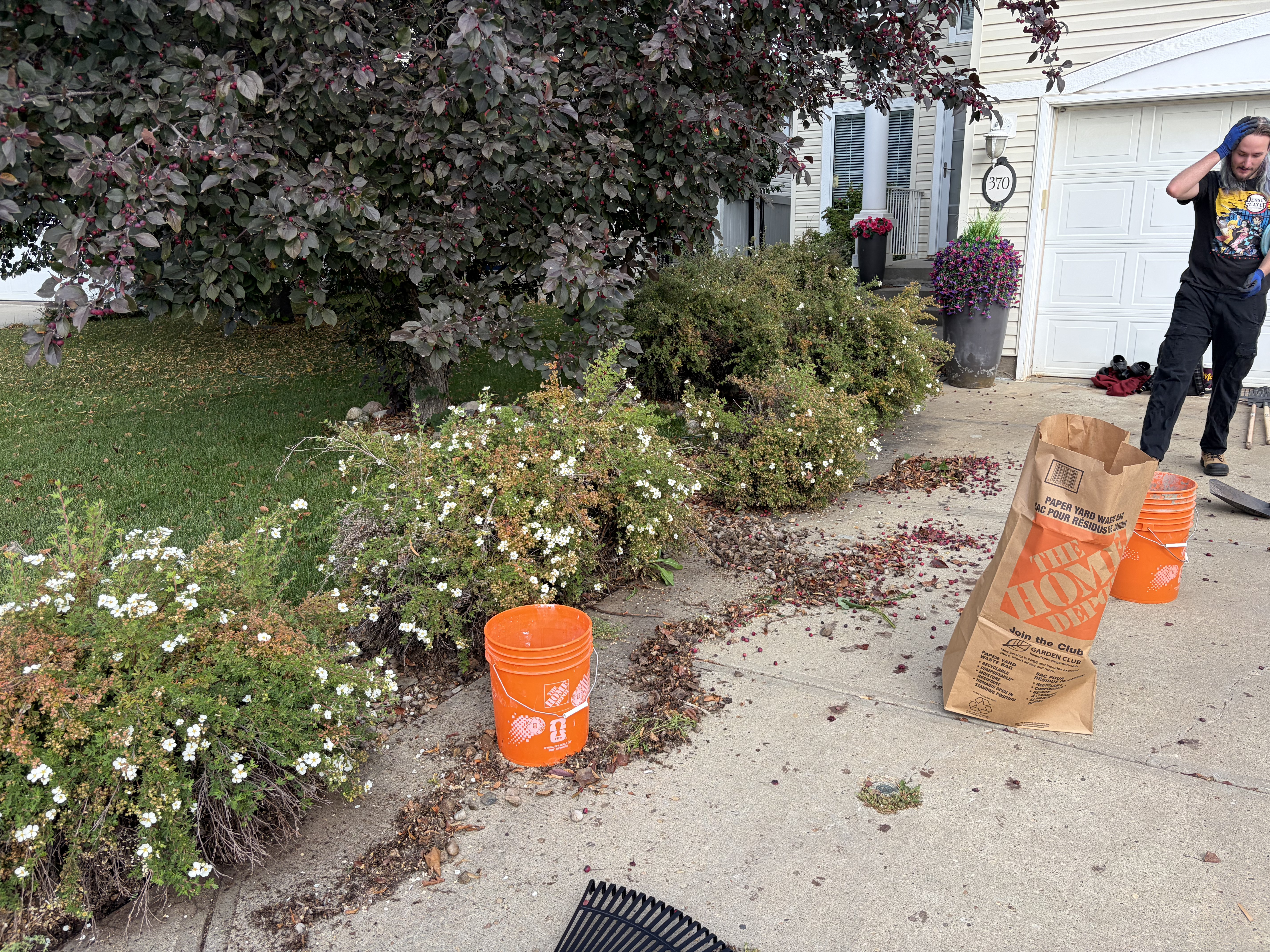 Before landscaping project photo 3