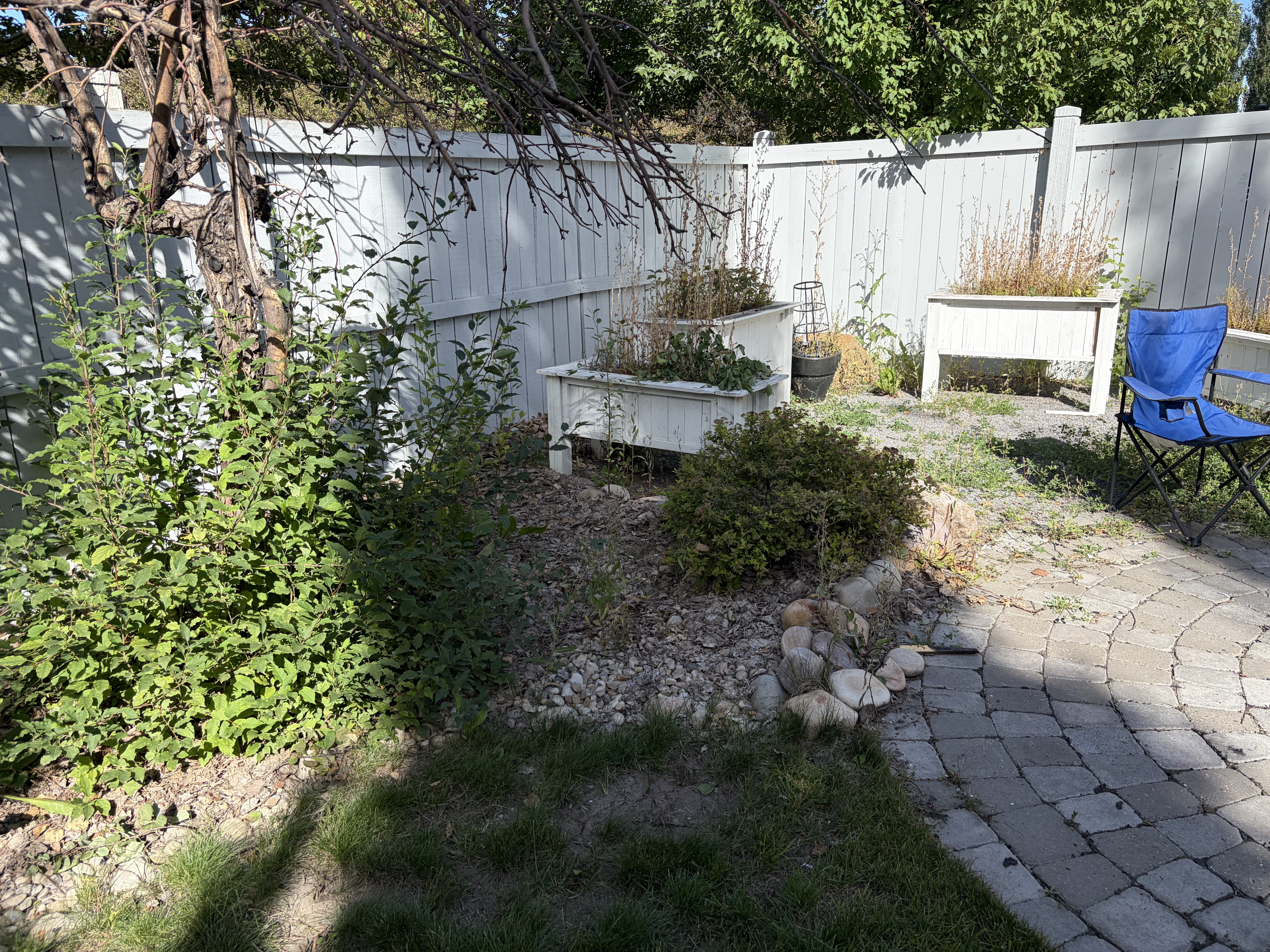 Before landscaping project photo 1