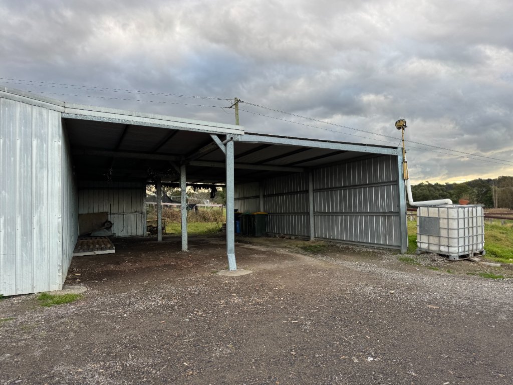 Equestrian Dream – 5 Acres with Horse Arena, Stable & Shed
