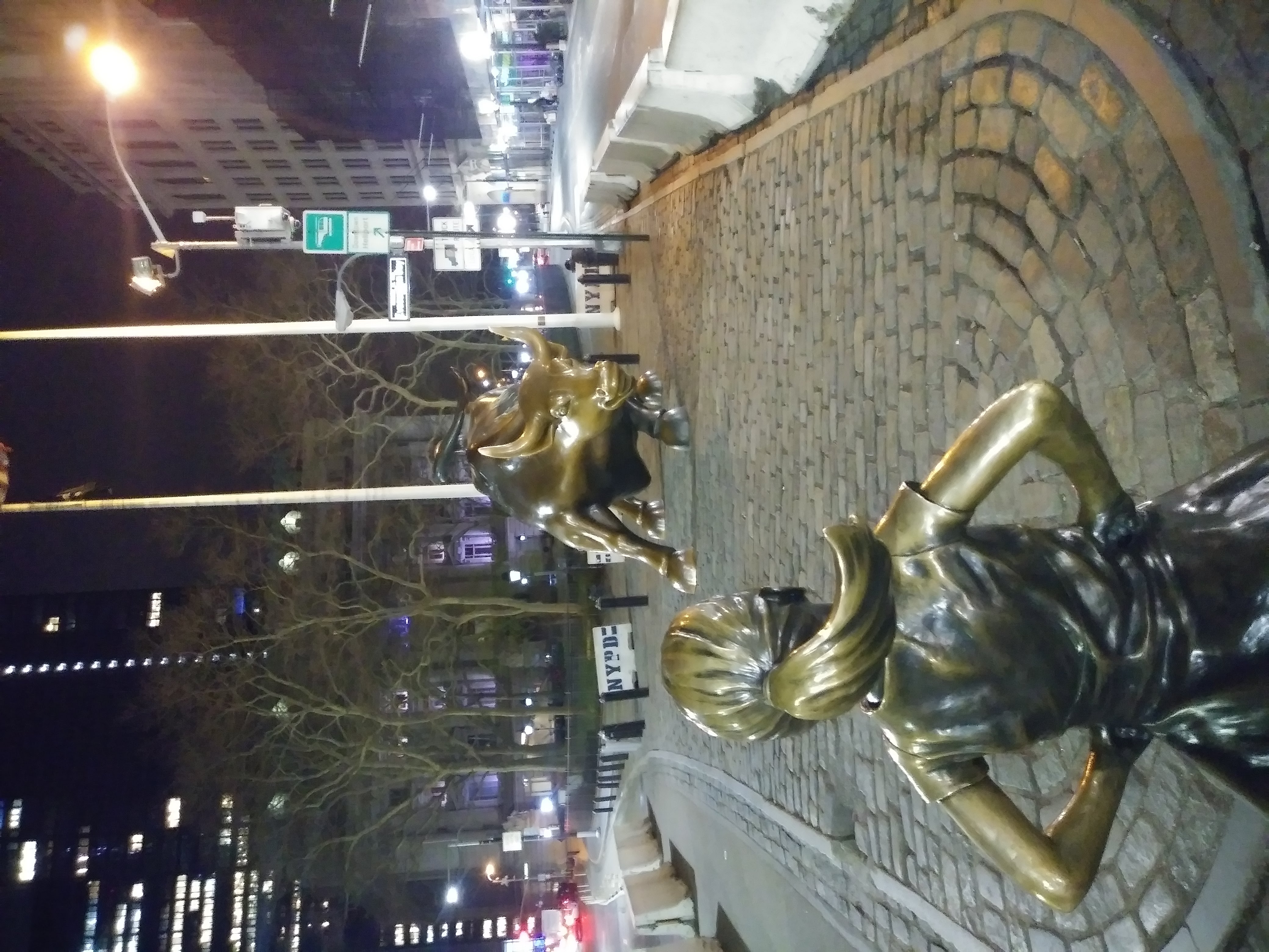 Charging Bull & Fearless Girl 1