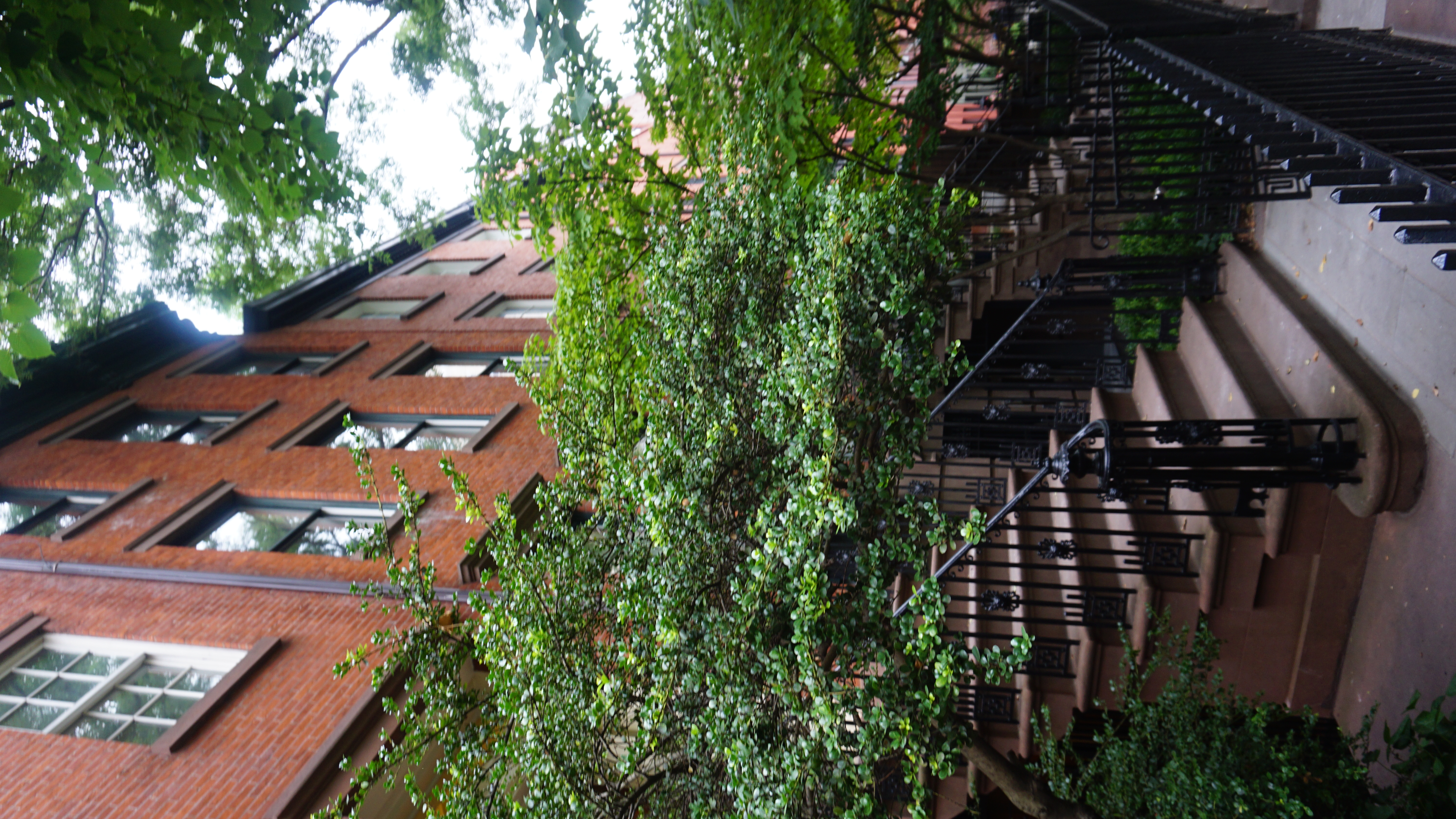 Red brick townhouse facade with iron railing and green foliage