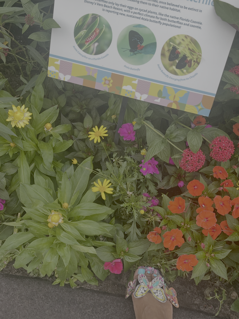 Butterfly Garden