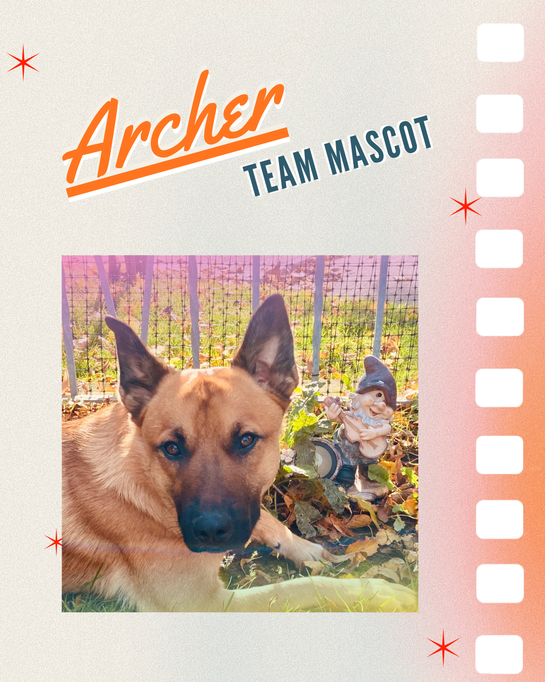 Archer profile