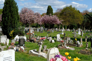Lavender Hill Cemetery — photo 1