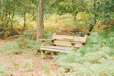 Epping Forest Crematorium — photo 4