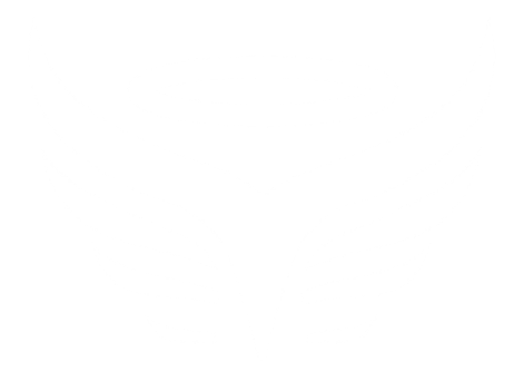 VCA Symbol