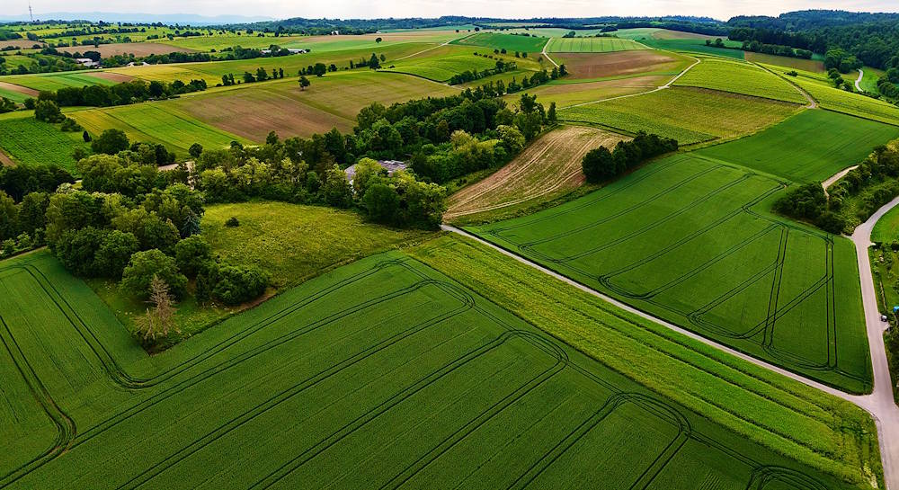 Buying land? We'll ensure that you enjoy a smooth, hassle-free transaction!