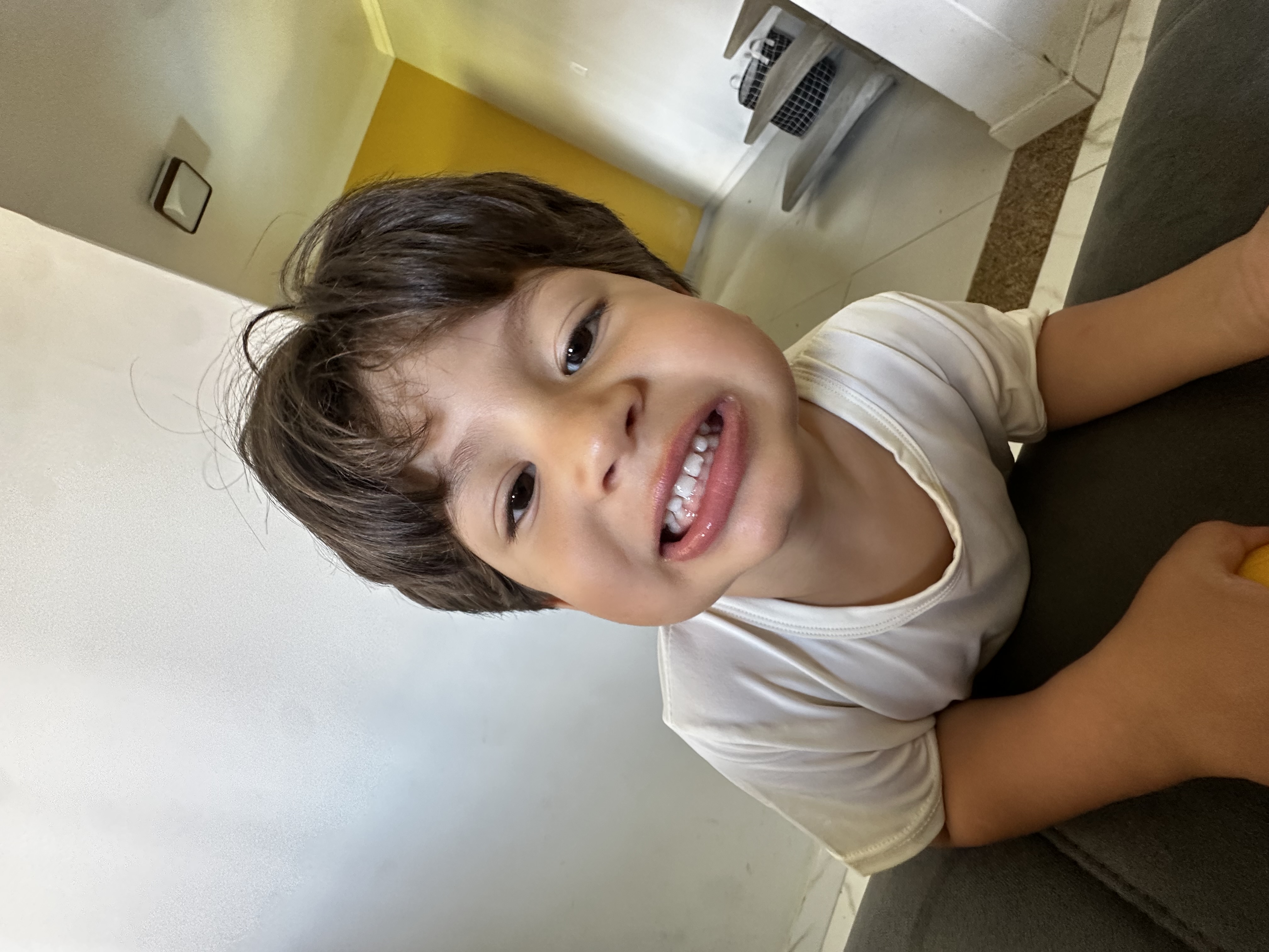 Foto 3 do Bentinho