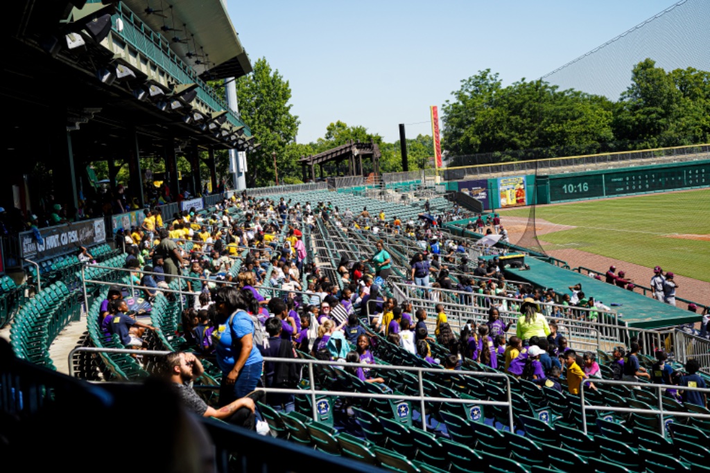 Stadium crowd