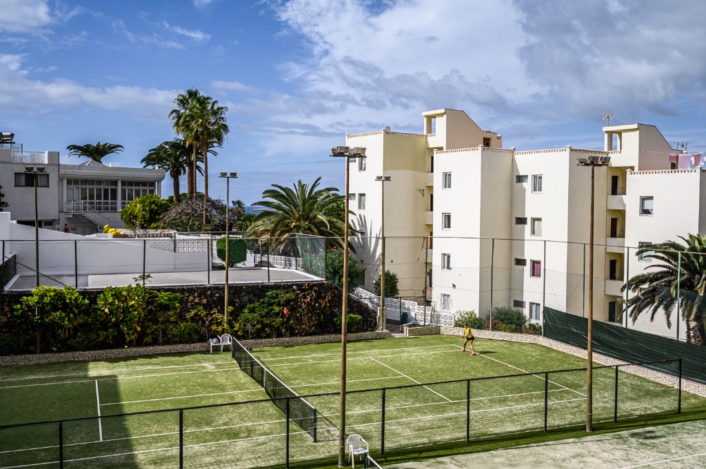 Tropical tennis court with palms